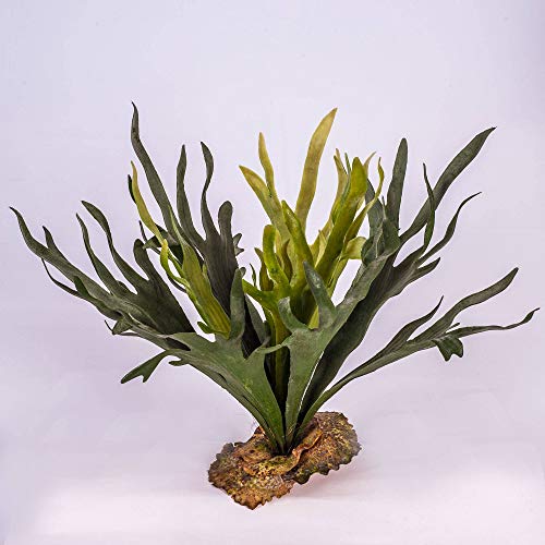 artplants.de Deko Hirschfarn, 19 Blätter, Silber - grün-Kunstpflanze - Dekopflanze von artplants