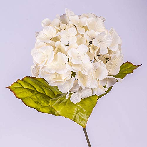 artplants.de Deko Hortensien Zweig, Creme, 65cm - Textilblume von artplants