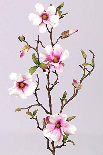 artplants.de Deko Magnolienzweig, 4 Blüten und Knospen, weiß - rosa, 80cm - Kunstzweig - Künstliche Magnolie von artplants