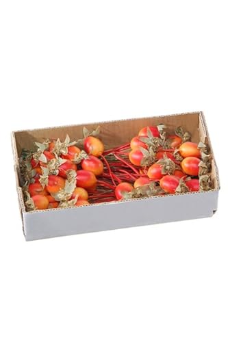 artplants.de Deko Obst Hagebutte ZENNY mit Draht, 36 Stück, rot-orange, 1,2cm, Ø0,7cm - Dekorative Früchte von artplants