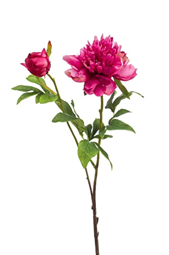 artplants.de Deko Pfingstrose BADIS, pink, 75cm - Künstliche Pfingstrose von artplants