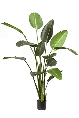 artplants.de Deko Pflanze Strelitzie Pavlova, grün, 190cm - Kunst Paradiesvogelblume von artplants