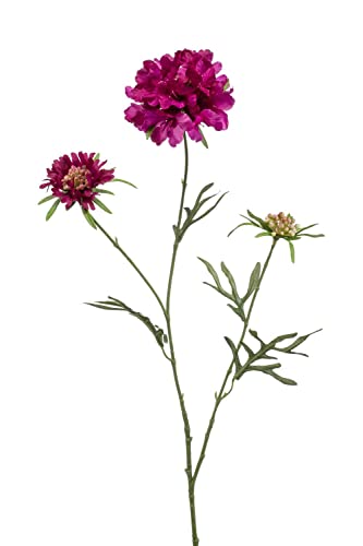 artplants.de Deko Scabiosa MARUA, violett, 80cm - Deko Blume von artplants.de