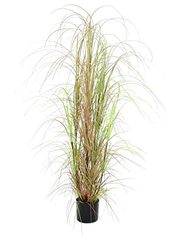 artplants.de Deko Schilfgras, grün-braun, 150cm - Deko Gras - Grasbusch künstlich von artplants