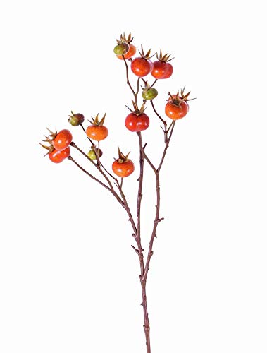 artplants.de Deko Zweig Apfelrosenzweig Gerda mit Früchten, orange, 65cm - Kunstblume Wildrose von artplants