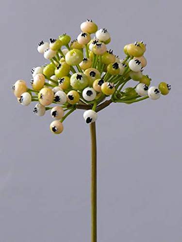 artplants.de Deko Zweig Feuerdorn Zweig Cleo mit Beeren, Creme - grün, 20cm - Kunstzweig - Künstlicher Beerenzweig von artplants