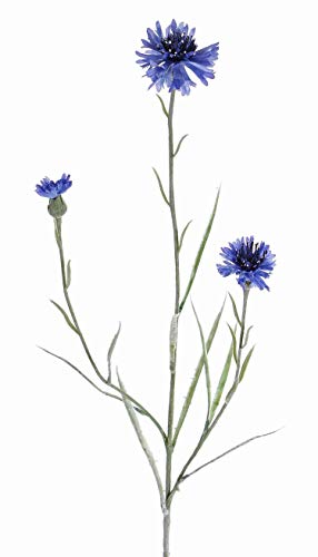 artplants.de Deko Zweig Kornblume Kelsie, blau, 70cm, Ø 4cm - Künstliche Kornblume - Kunstblumen von artplants