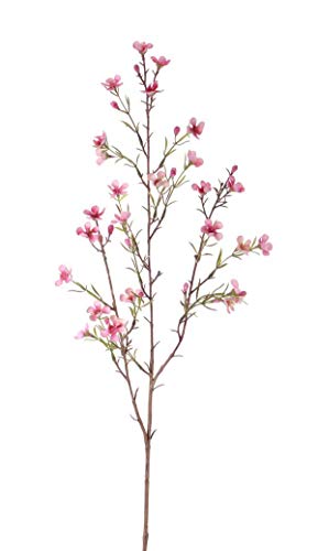 artplants.de Deko Zweig Wachsblumen Zweig NIANG, rosa, 80cm, Ø 2-3cm - Deko Blumen - Kunstblumen von artplants