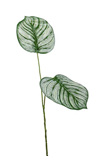 artplants.de Dekozweig Calathea Orbifolia TAMARIU, grün-weiß, 50cm - Kunstzweig Korbmarante/Kunstast calathea von artplants.de