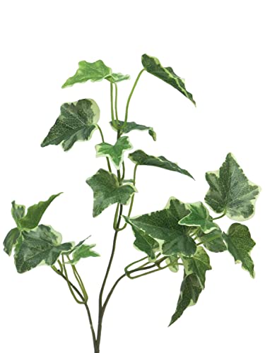 artplants.de Dekozweig Efeu LANSHUO, grün-weiß, 55 cm - Küntslicher Efeuzweig von artplants