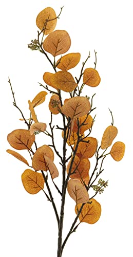 artplants.de Dekozweig Eukalyptus YURUO mit Blüten, orange, 90 cm - Eukalyptuszweig künstlich von artplants