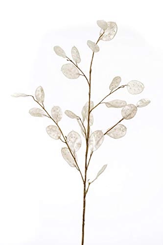 artplants.de Dekozweig Lunaria Zweig BUELNA, Creme, 105cm - Kunstzweig/Silberblatt künstlich von artplants