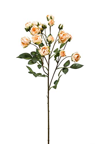 artplants.de Dekozweig Rosen TOSSA, Aprikose, 55cm - Kunstrose/Seidenrose von artplants.de