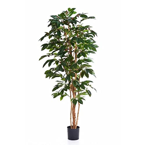 artplants.de Kaffeebaum künstlich Moka, 329 Blätter, grün, 120cm - Kunstpflanze von artplants