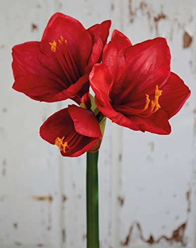 artplants.de Künstliche Amaryllis YOLANTE, rot, 70cm, Ø23cm - Textil Amaryllis von artplants