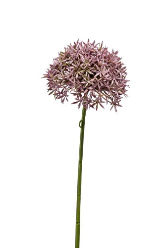artplants.de Künstliche Blume Allium ARNAU, rosa, 60cm - Kunstblume Zierlauch von artplants