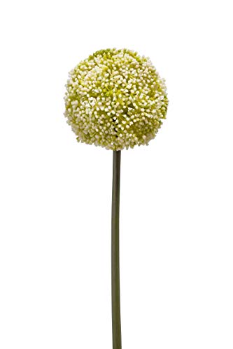 artplants.de Künstliche Blume Allium BOUTROS, weiß - grün, 75cm - Kunstblume Zierlauch von artplants