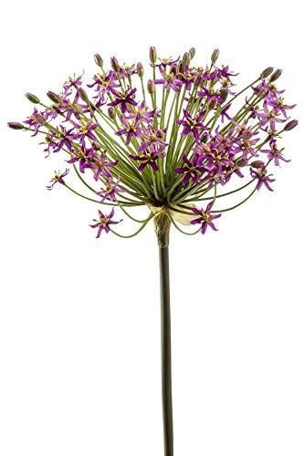 artplants.de Künstliche Blume Allium BRAIS, violett, 90cm - Kunstblume Zierlauch von artplants