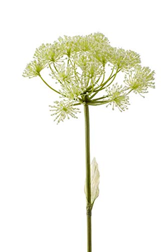 artplants.de Künstliche Blume Bärenklau EVERALDO, weiß, 80cm - Deko Heracleum Blume von artplants