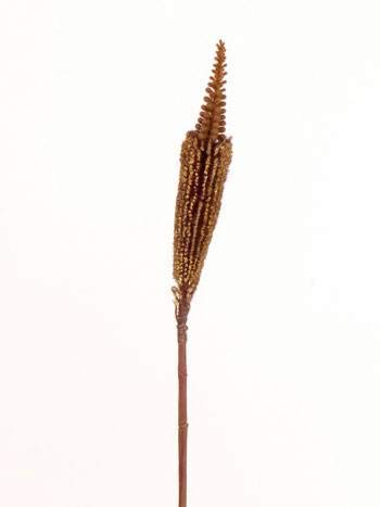 artplants.de Künstliche Blume Bulbinella TALUNA, Hellbraun, 65cm, Ø 6cm von artplants