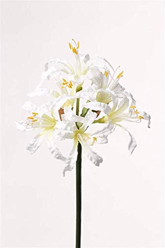 artplants.de Künstliche Blume Gartenamaryllis MONJA, weiß, 70cm, Ø 12cm - Künstliche Hakenlilie von artplants