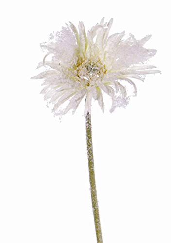 artplants.de Künstliche Blume Gerbera Mida, beschneit, weiß, 65cm, Ø 12cm - Kunst Gerbera von artplants.de