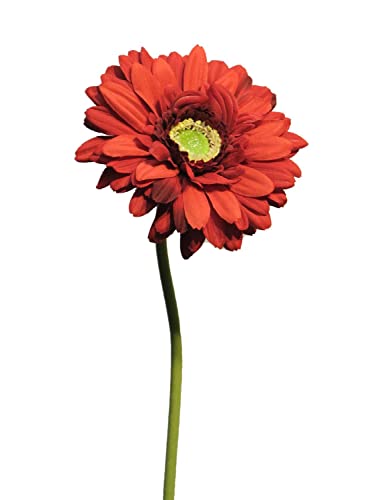 artplants.de Künstliche Blume Gerbera QIUDONG, rot, 50 cm - Künstliche Stielblume von artplants.de