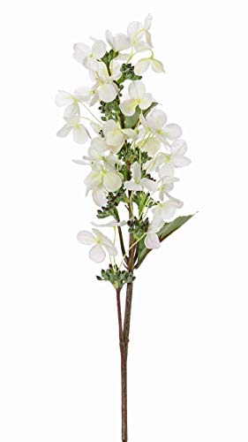 artplants.de Künstliche Blume Hortensie Paniculata CHADORA, weiß - grün, 75cm, Ø 15cm von artplants