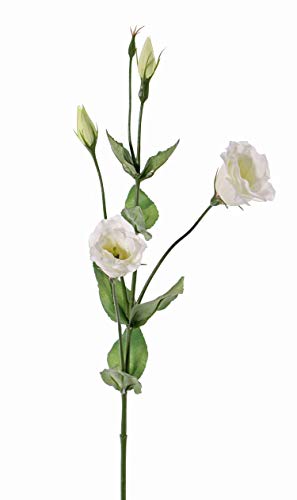 artplants.de Künstliche Blume Lisianthus JUDIKA, weiß - grün, 70cm, Ø 5cm von artplants