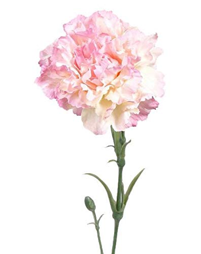 artplants.de Künstliche Blume Nelke VANERA, rosa - weiß, 60cm, Ø 8cm - Textilblumen von artplants