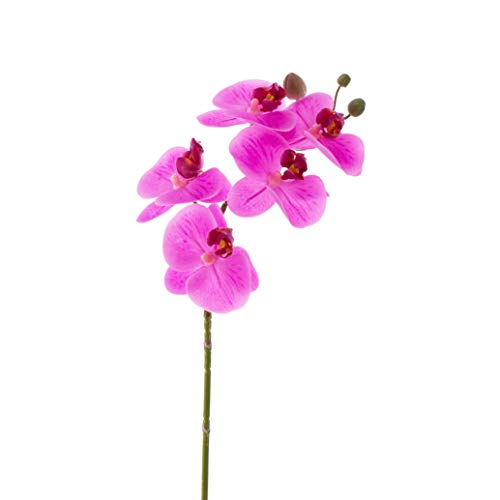 artplants.de Künstliche Blume Orchideenzweig Emilia, pink, 60cm - Künstliche Orchidee von artplants.de