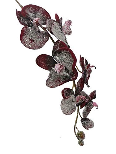 artplants.de Künstliche Blume Phalaenopsis Orchidee Neila, beschneit, dunkelrot, 75cm von artplants