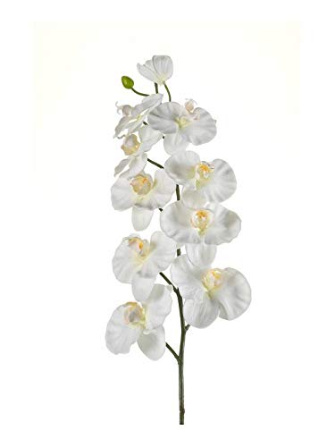 artplants.de Künstliche Blume Phalaenopsis Orchideen Zweig ANAT, Creme, 100cm von artplants.de