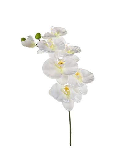 artplants.de Künstliche Blume Phalaenopsis Orchideen Zweig BASTET, weiß, 80cm von artplants