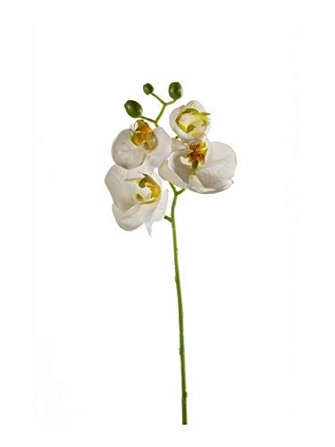 artplants.de Künstliche Blume Phalaenopsis Orchideen Zweig MINA, weiß, 55cm - Deko Orchidee von artplants