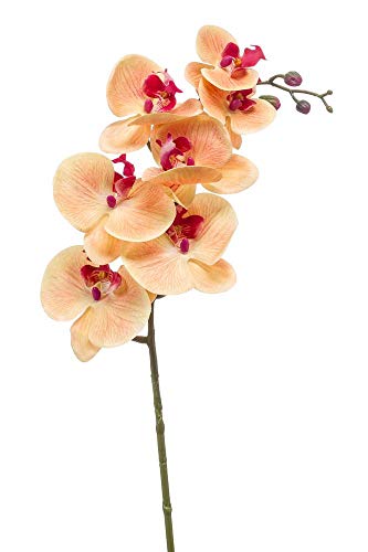 artplants.de Künstliche Blume Phalaenopsis Orchideen Zweig NEITH, orange - pink, 85cm - Textilblume Orchidee von artplants