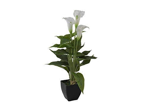 artplants.de Künstliche Calla Jamila im Topf, 3 Blüten, weiß, 40cm - Kunstblume getopft von artplants