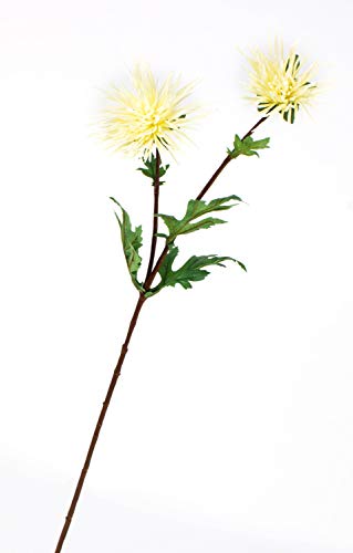 artplants.de Künstliche Chrysantheme, 2 Blüten, Creme - weiß, 70cm, Ø 8-10cm - Chrysantheme künstlich - Kunstblume von artplants