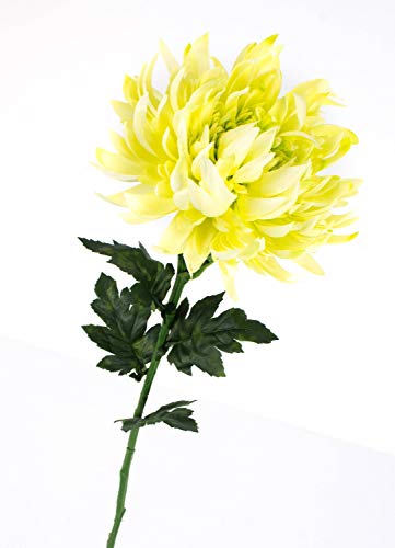 artplants.de Künstliche Chrysantheme, Creme - grün, 64cm, Ø 16cm - Seidenblume - Kunstblume Chrysantheme von artplants
