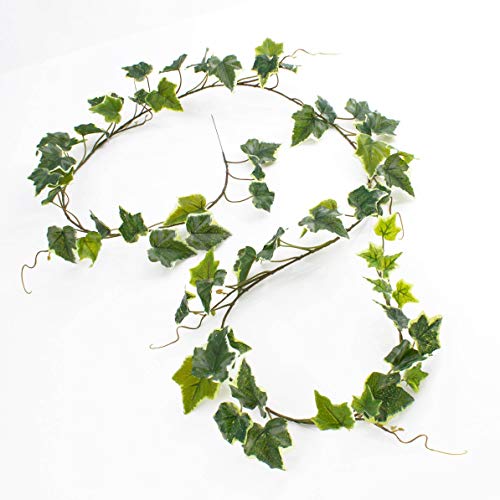 artplants.de Künstliche Efeu Girlande real Touch, weiß - grün, 65 Blätter, 180cm - Kunstgirlande - Dekogirlande von artplants