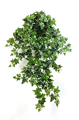 artplants.de Künstliche Efeu Ranke Luka, 262 Blätter, weiß - grün, 70cm - Kunst Efeu - Efeu künstlich von artplants