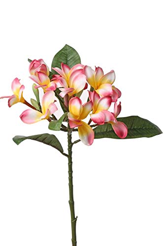 artplants.de Künstliche Frangipani ALDAH, 12 Blüten, rot - gelb, 70cm - Deko Blumen - Plumeria Blume von artplants.de