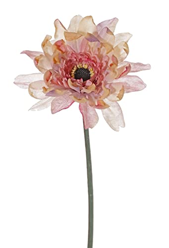 artplants.de Künstliche Gerbera PAMILLA, Altrosa, 65cm, Ø12cm - Kunstgerbera von artplants