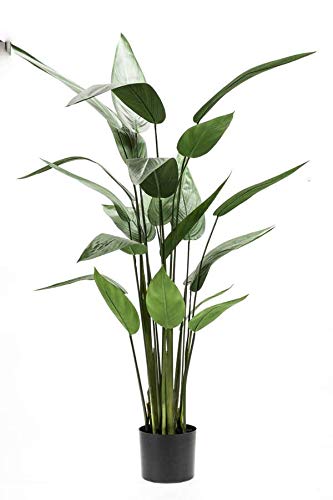 artplants.de Künstliche Heliconia ANURIA, 22 Blätter, grün, 125cm - Deko Zimmerpflanze - Kunst Strelizie von artplants.de