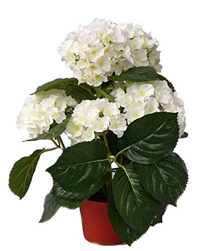 artplants.de Künstliche Hortensie TEMARI, 205 Blüten, Creme, 35cm, Ø 30cm - Kunstblumen - Deko Hortensie von artplants
