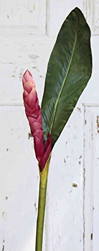 artplants.de Künstliche Ingwerblüte CEYDA, pink, 115cm, Ø5cm - Kunst Ingwerblüte von artplants