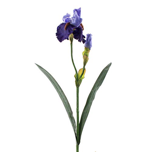 artplants.de Künstliche Iris, blau, Deluxe, 70cm - Kunstblume von artplants