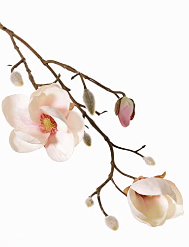 artplants.de Künstliche Magnolie Kostas, Creme-rosa, 55cm, Ø5-8cm - Seidenblume Magnolie von artplants