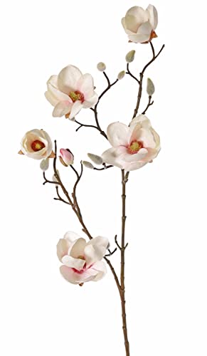 artplants.de Künstliche Magnolie Kostas, Creme-rosa, 80cm, Ø5-8cm - Seidenblume Magnolie von artplants