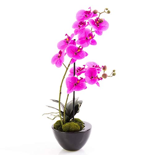 artplants.de Künstliche Orchidee Phalaenopsis Melina in Schale, 2 Zweige, violett, 45cm - Kunstblume - Kunstorchidee im Topf von artplants